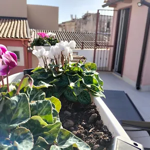  Holiday home Krokos Ortigia